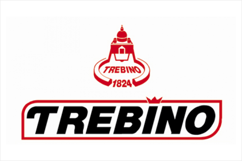 ROBERTO TREBINO Snc