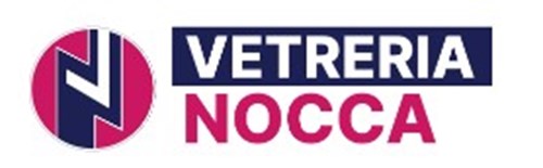 VETRERIA NETTUNENSE SRL 